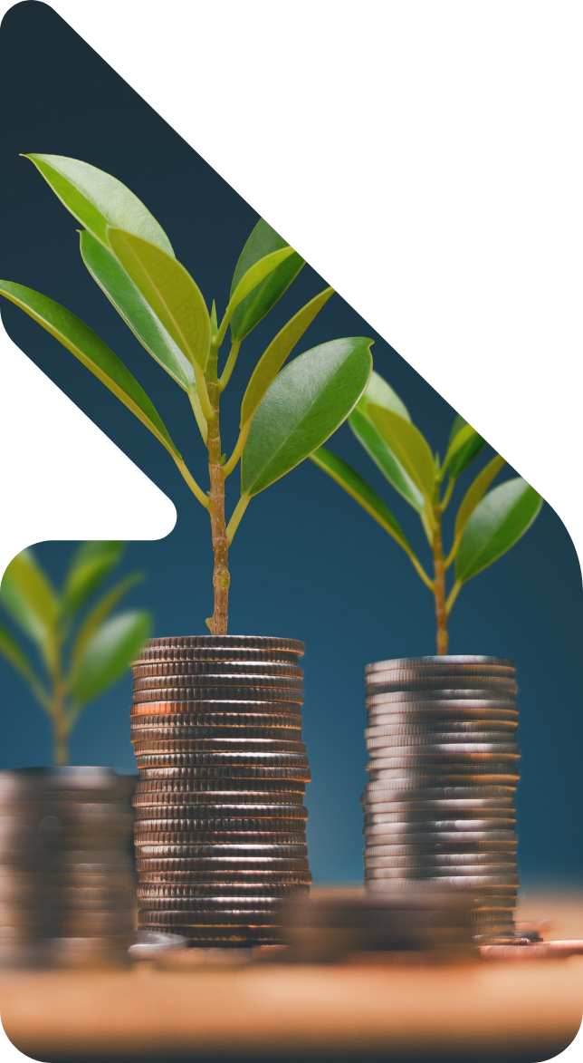 Image showing plants growing out of piles of coins