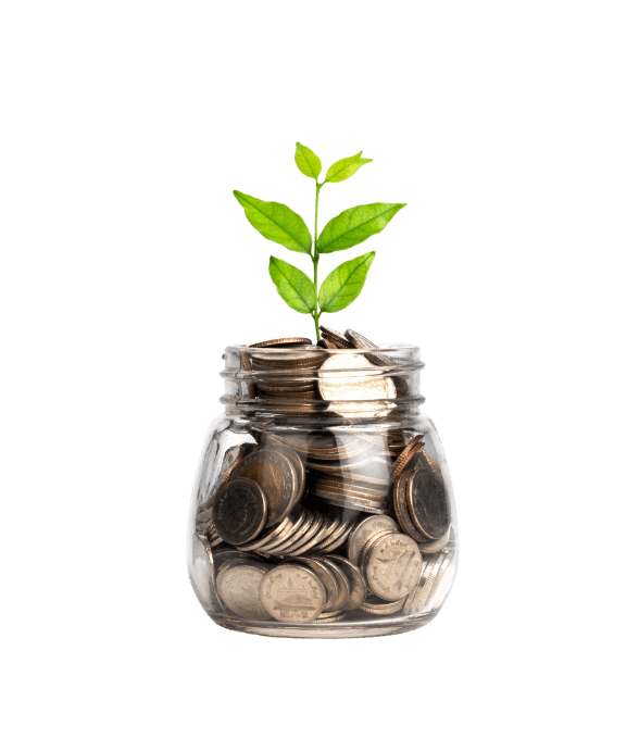 Image showing a plant growing out of a coin jar