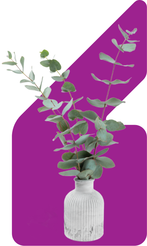 Image showing a plant in a vase