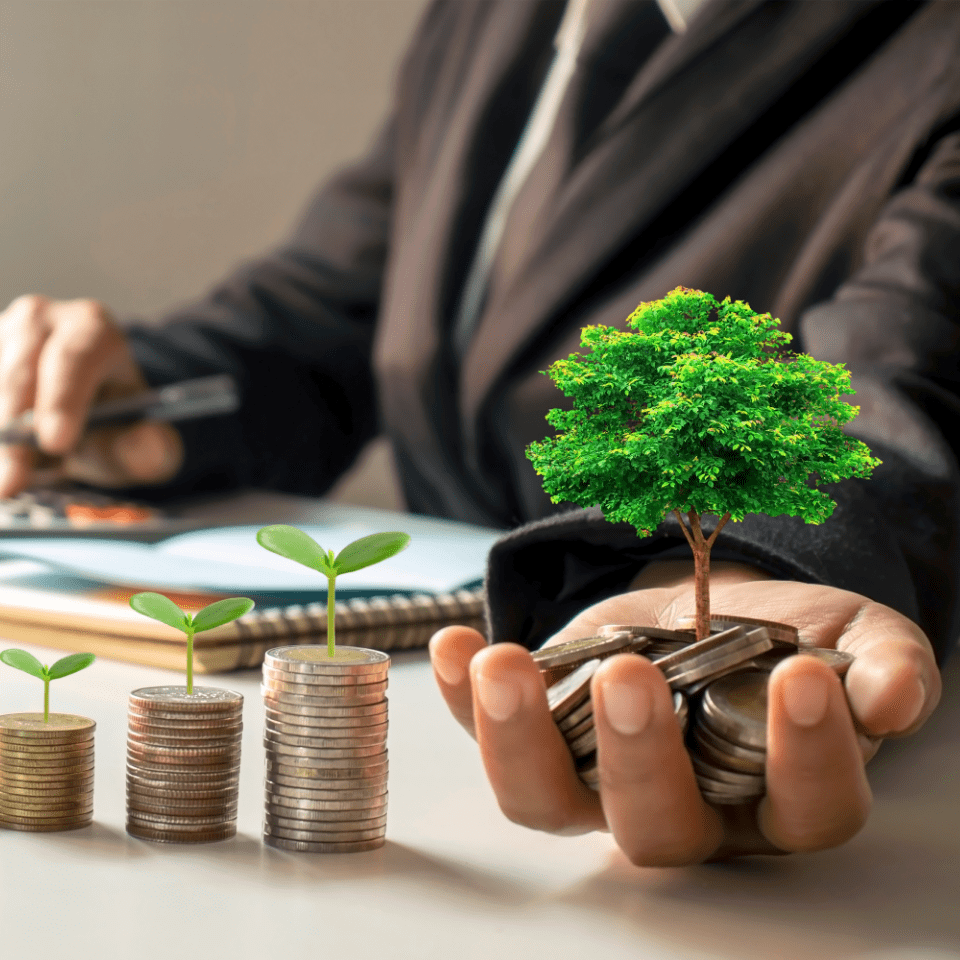 Image showing a man holding a tree and some coins